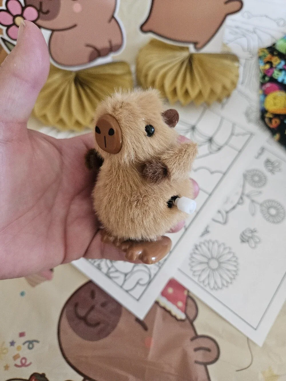 Capybara BIRTHDAY Bundle
